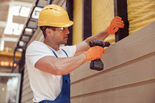Best Vinyl Siding Installation  in Aventura, FL